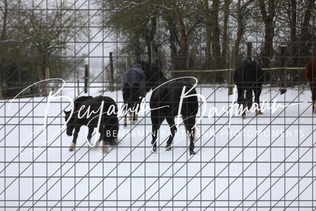 AZ2A3275 | Benjamin Bartmann Photomoments