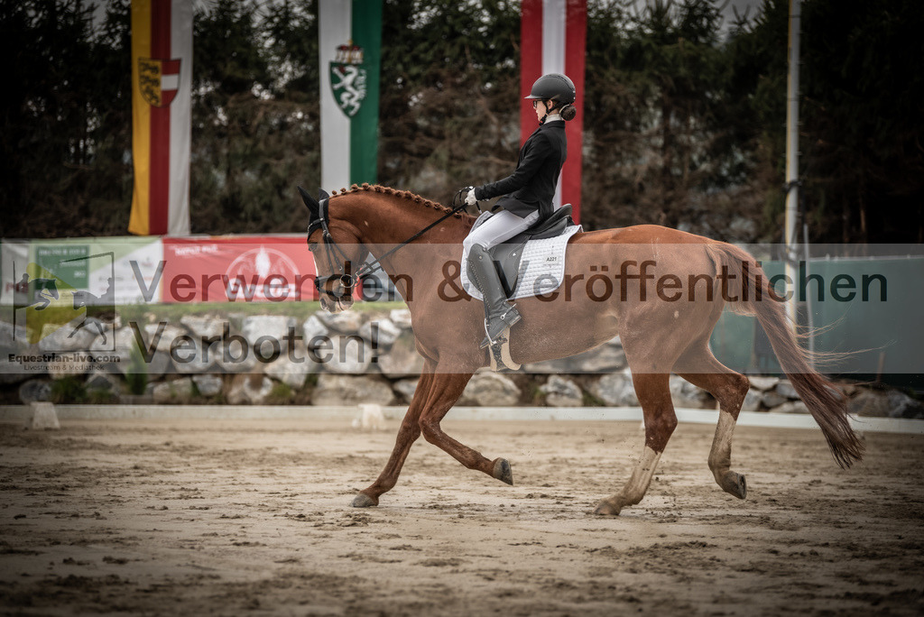 DSC_0167 | equestrian-live-com