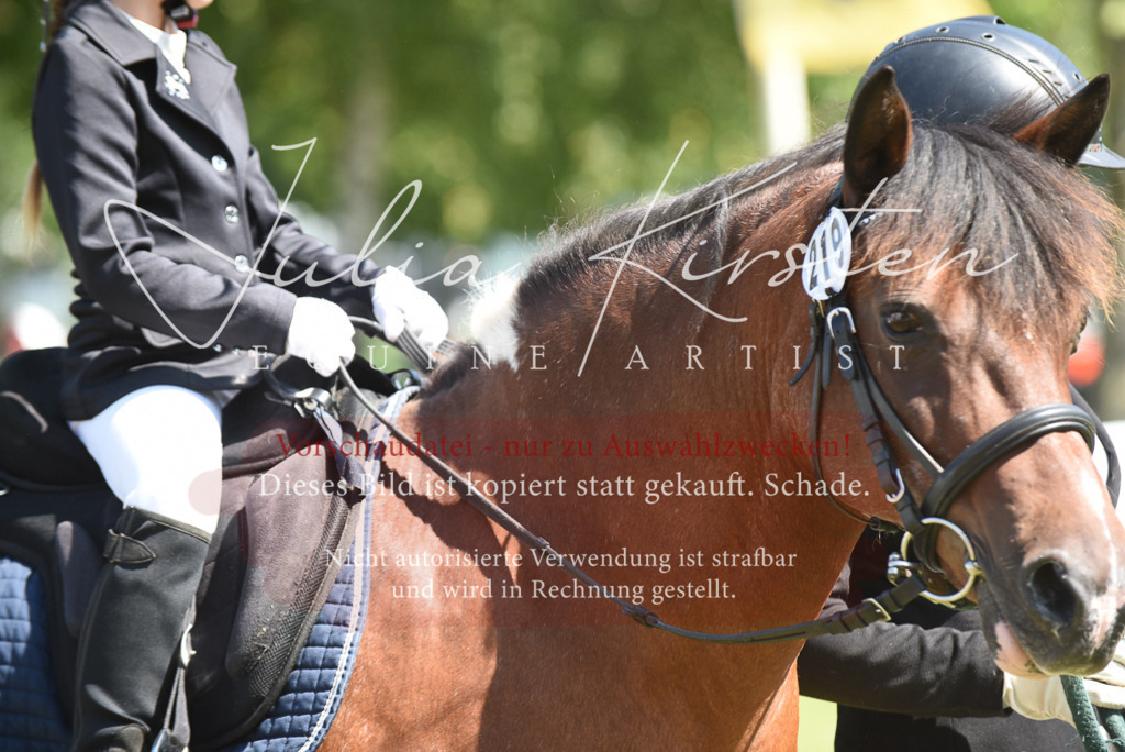 DSC_9769 | Pferde- und Turnierfotografie in Westsachsen. Pferdeportraits, Auftragszeichnungen und intuitive Kunst.