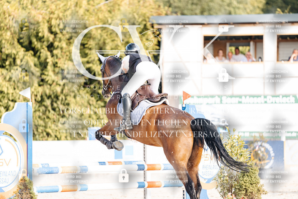 CK909428 | Turnierfotografie Pferdefotografie Trier Rheinland-Pfalz Pferdesport Reitsport Tierfotografie Sportfotografie Pferdevideo Pferdevideografie Equestrianvideography equestrianphotography  - Realisiert mit Pictrs.com