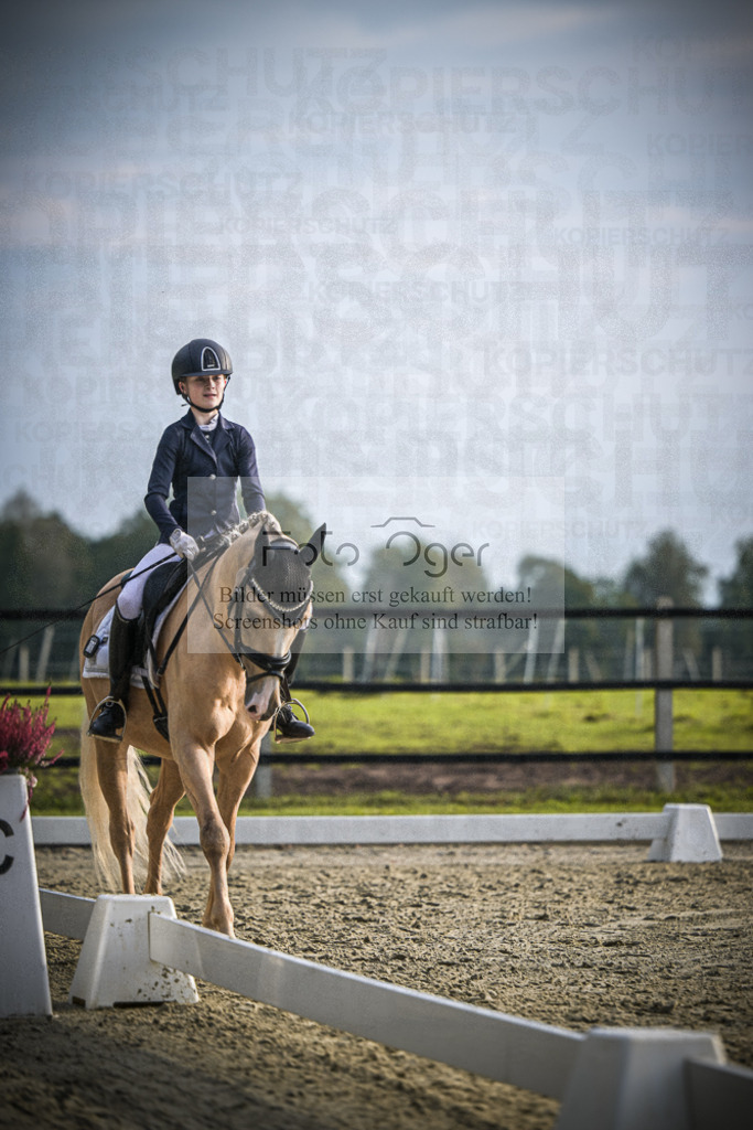 DOS_4736 | Entdecke hochwertige Reitturnierfotos von Foto Oger. Professionell, emotional und authentisch – jetzt Lieblingsmomente im Shop bestellen.Deutschlandweite Turnierfotografie. - Realisiert mit Pictrs.com