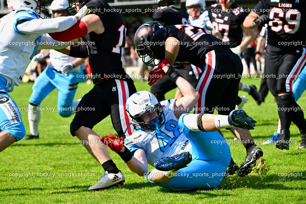 Carinthian Lions vs. Styrian Bears | Carinthian Lions vs. Styrian Bears, Carinthian Lions vs. Styrian Bears am 20.05.2024 in Klagenfurt (ASV Sportplatz), Austria, (Photo by Bernd Stefan)