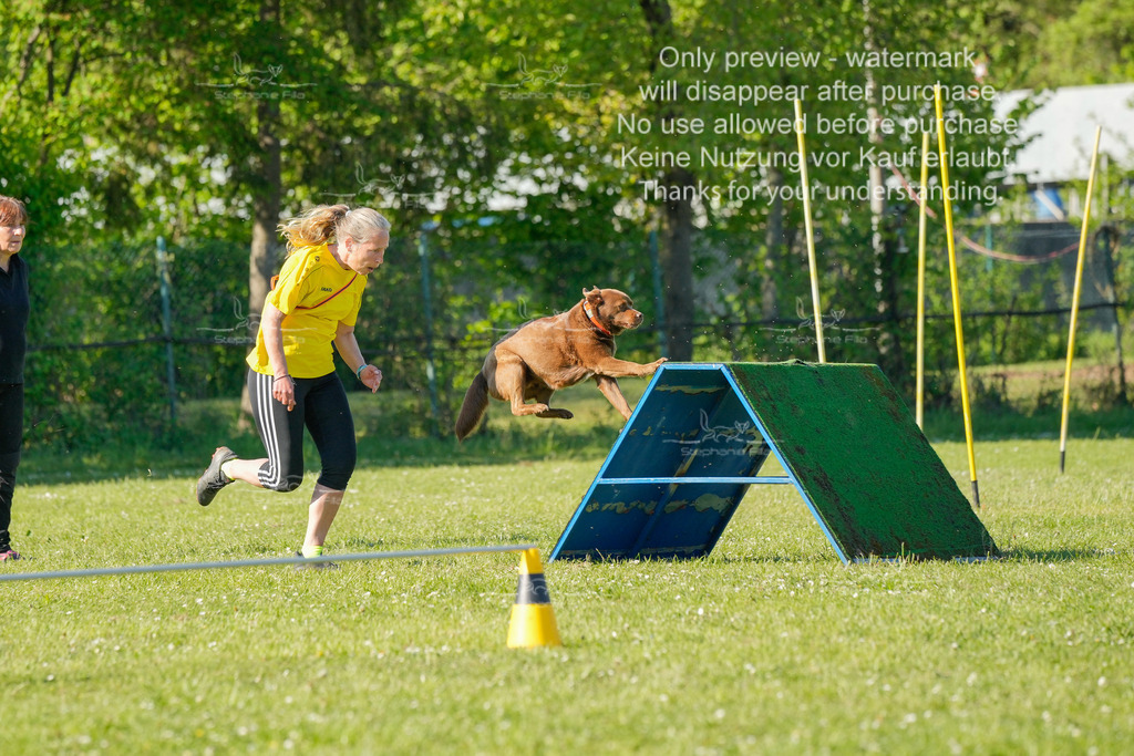 Sa_CSC-635 | stephaniefillaphotographie - Realisiert mit Pictrs.com