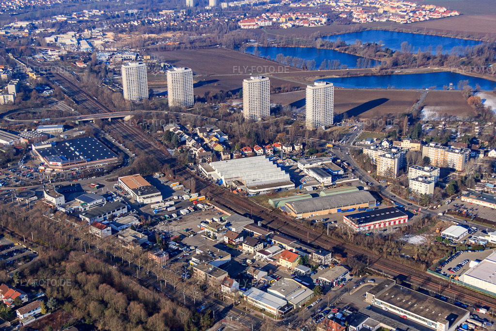Luftbild: Vier Wohnhochhäuser An d. Froschlache im Ortsteil Friesenheim in Ludwigshafen im Bundesland Rheinland-Pfalz in Deutschland. Foto: IMG_54849.jpg vom 12.12.2012 durch Werner Riehm/FLY-FOTO.deAuflösung des Originals: 4752 x 3168 px