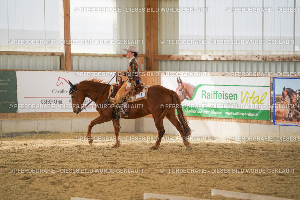 DSC04856 | Pferdegrafie