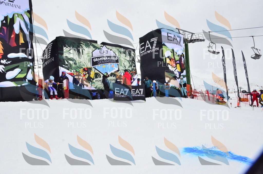 _ELE4072 | holidayphoto