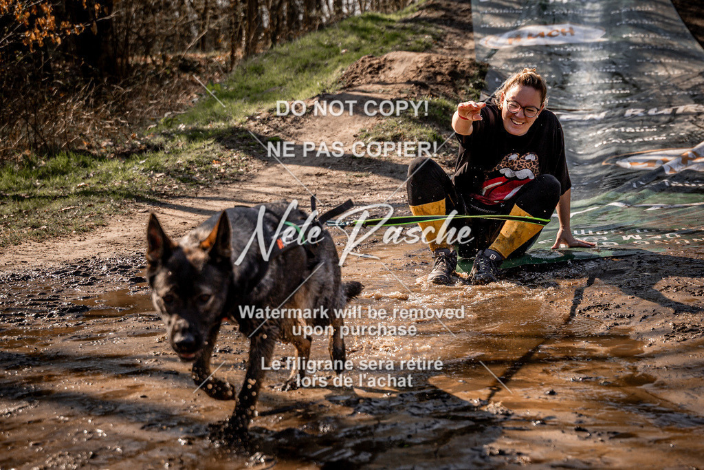 nelerasche_Hulsbeek_So1300-1330_380 | nelerasche