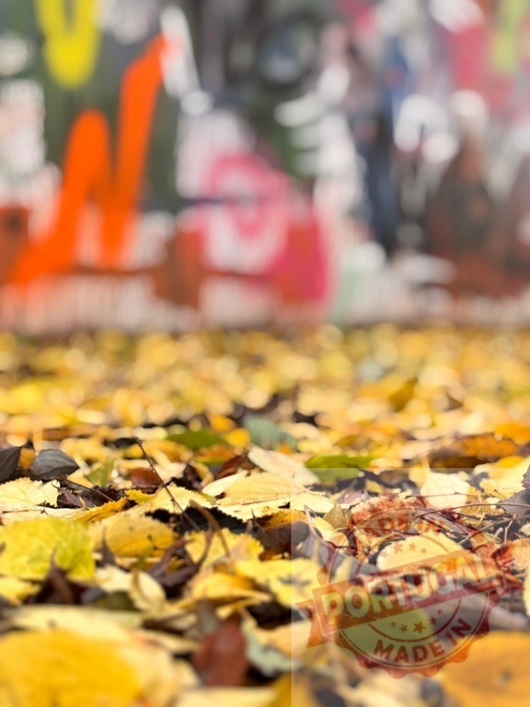Autumn leaves covering ground with blurred graffiti | Yellow autumn leaves covering the ground with abstract colorful graffiti in the background - Realized with Pictrs.com