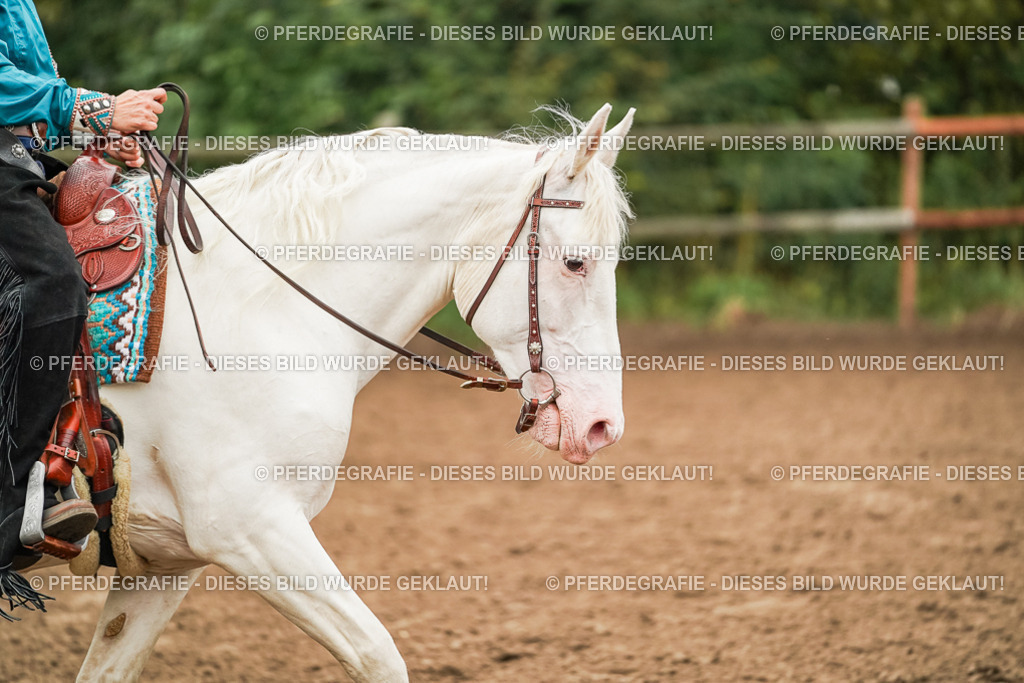 DSC01720 | Pferdegrafie