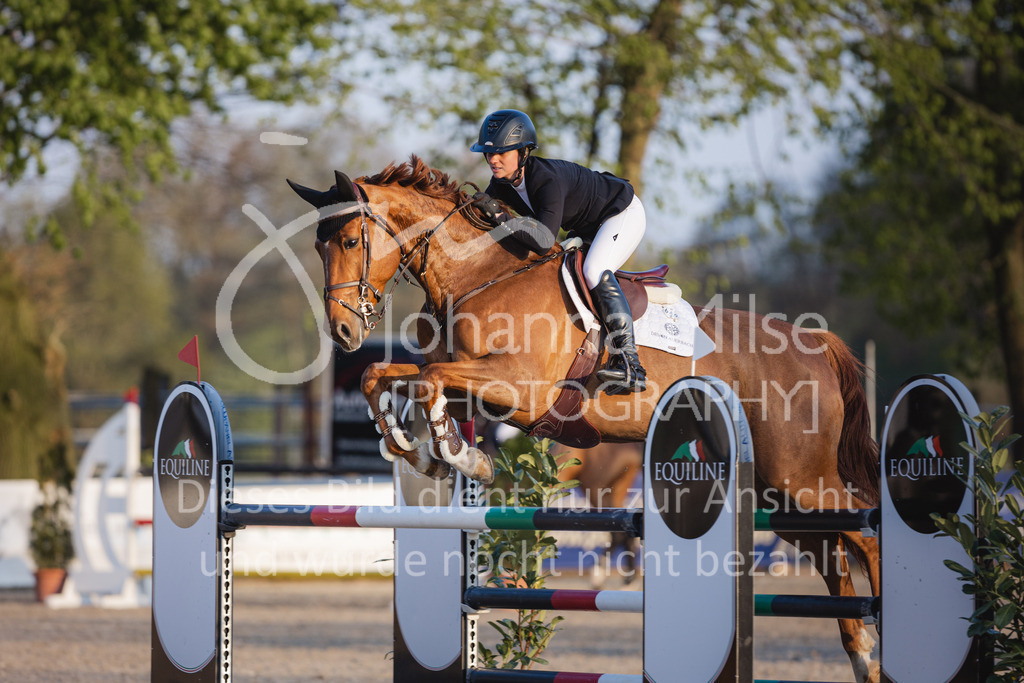 220426_Mühlen_06Youngster-M-672 | Mühlen Late Entry
26.04.2022
Springprüfung Kl.M* 6-8j. Youngster Springen