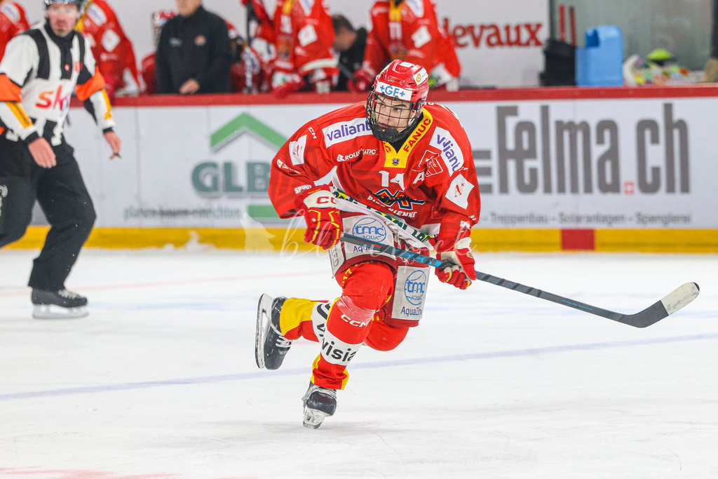 701A3247 | Sportbilder, Sportfotograf, Hochzeits- und Eventfotografin, Flugshows, Portraits und Tiershooting, Aviation, Downhill, Nationalleague, Swissleague, International