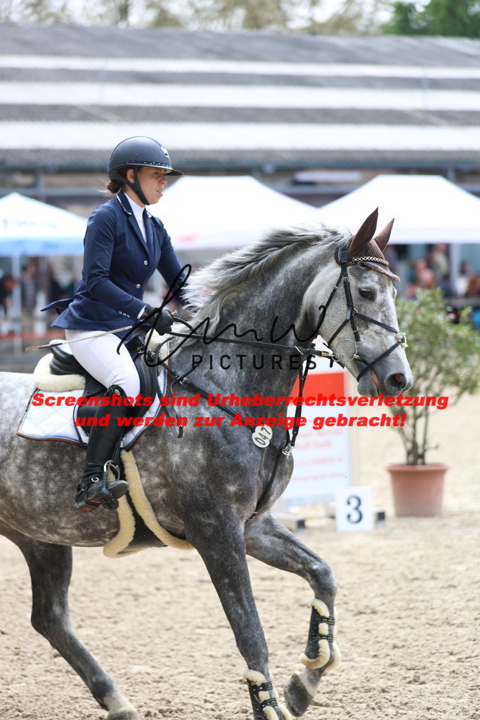 A40A2288 | lmwpictures - Realisiert mit Pictrs.com