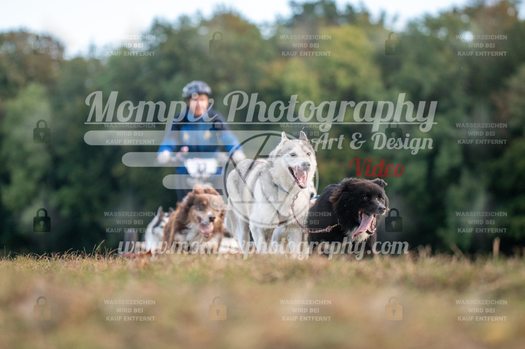 CDLBDB_15_10_2023_Dimanche-44 | PayLife