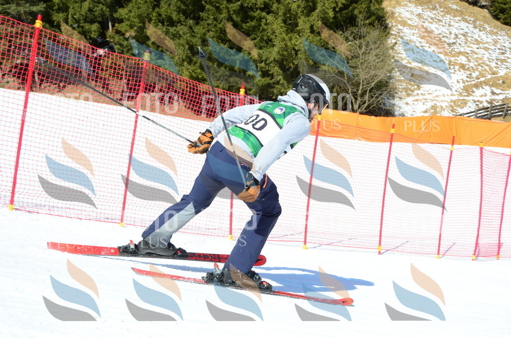 C6619 | holidayphoto