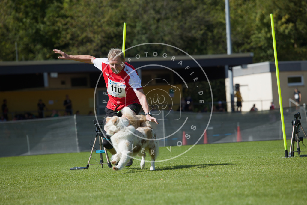 0L8A2691 | Hundefotografie, Tierfotograf, Pfotenfotografie, Fotoshooting Hund, Hunde Portrait, Hundesport, Hundeportraits, Heideshooting, Hunde, Sportfotograf, Hundefotograf, Turnierhundsport, THS,  - Realisiert mit Pictrs.com