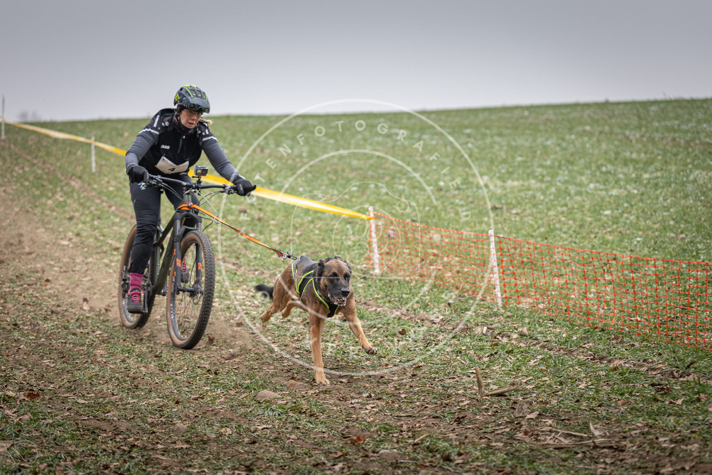 Pfotenfotografie_DV3A1550 | Hundefotografie, Tierfotograf, Pfotenfotografie, Fotoshooting Hund, Hunde Portrait, Hundesport, Hundeportraits, Heideshooting, Hunde, Sportfotograf, Hundefotograf, Turnierhundsport, THS,  - Realisiert mit Pictrs.com