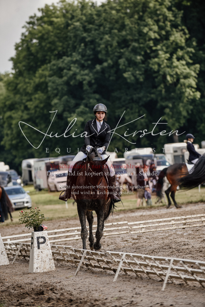 DSC_8666 | Pferde- und Turnierfotografie in Westsachsen. Pferdeportraits, Auftragszeichnungen und intuitive Kunst.