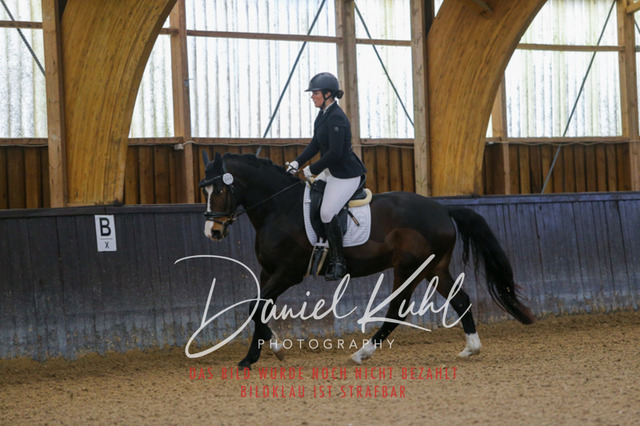 IMG_0088 | Turniersportfotografie; Pferdefotografie; Dressurfotografie