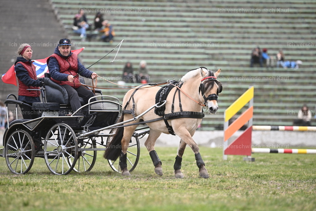 PI26_Show_Sara_Landvogt_226_0871.JPG | working equitationturnier fotograf videograf stoibphotography marixx film working equitation deutschland reitsport turnierfotografie eventfotografie equestrian events