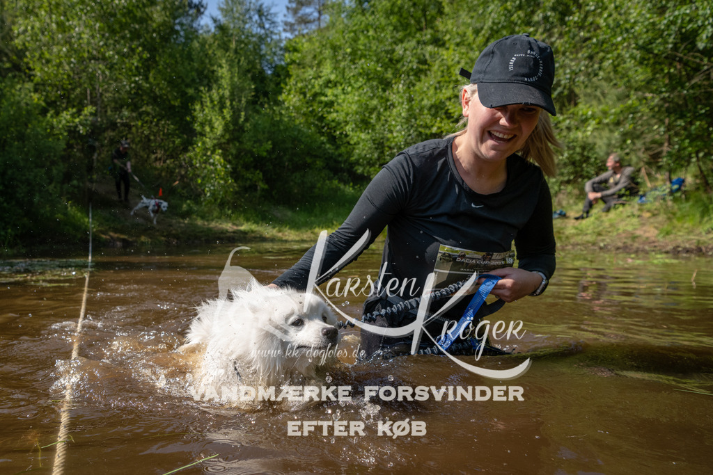 1629DKK990728 | kk-dogfotos