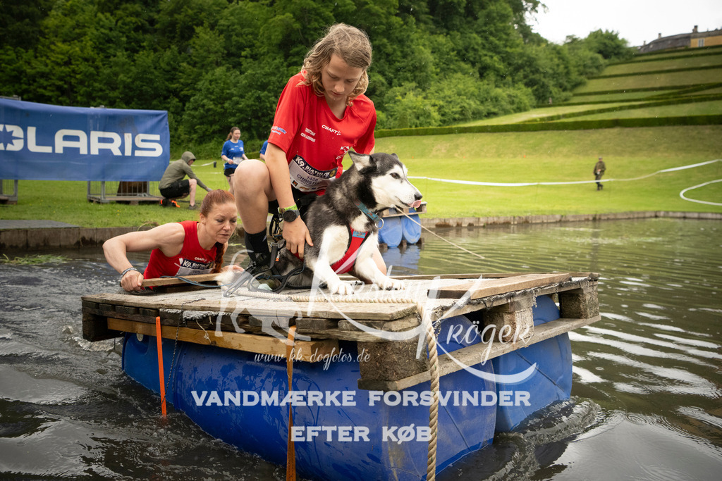 1200_ZZ96297 | kk-dogfotos