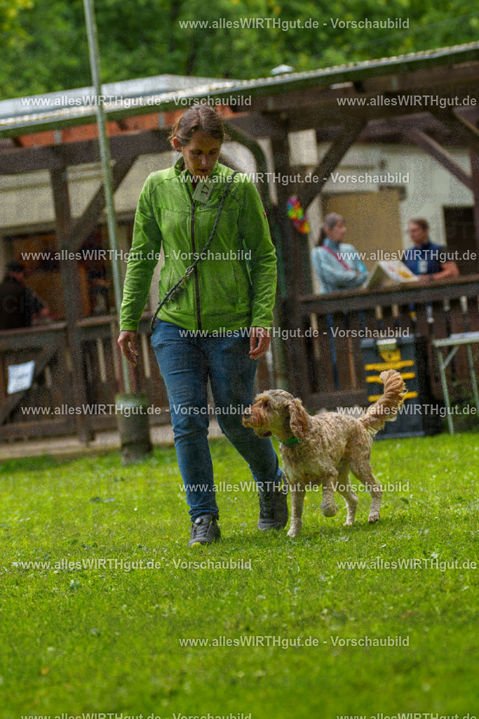 @allesWIRTHgut_Tierfotografie - www.allesWIRTHgut.de - 092405-7R507052 | Professionelle Tierfotografie in Mönchengladbach von Daniel Wirth (allesWIRTHgut). Liebevolle & natürliche Bilder von Hunden & Katzen für unvergessliche Erinnerungen.