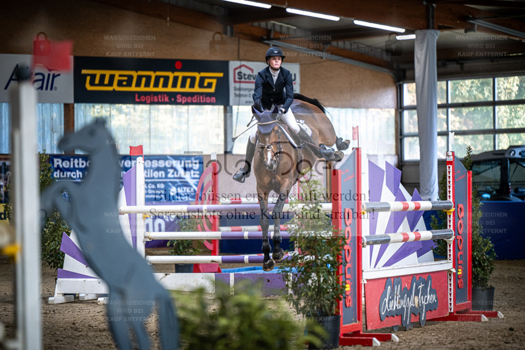 DOS_2419 | Entdecke hochwertige Reitturnierfotos von Foto Oger. Professionell, emotional und authentisch – jetzt Lieblingsmomente im Shop bestellen. - Realisiert mit Pictrs.com
