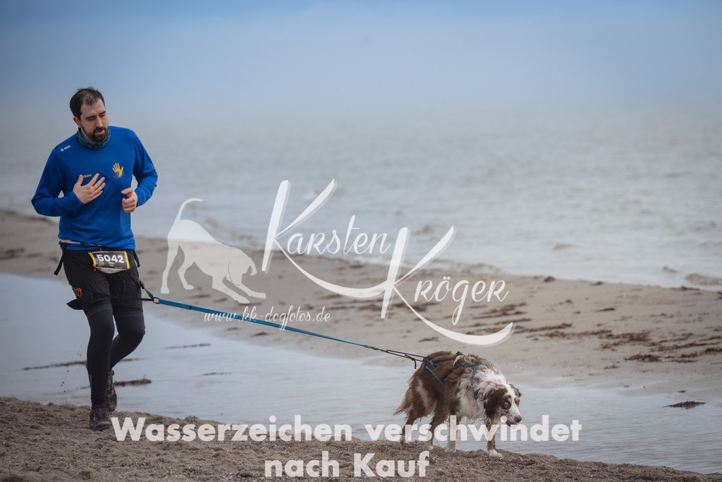 1146_ZZ90958 | kk-dogfotos