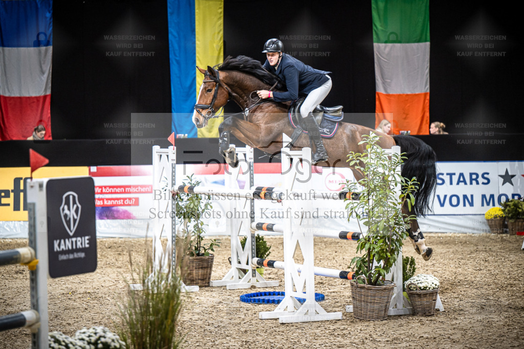 DOS_0549 | Entdecke hochwertige Reitturnierfotos von Foto Oger. Professionell, emotional und authentisch – jetzt Lieblingsmomente im Shop bestellen. - Realisiert mit Pictrs.com
