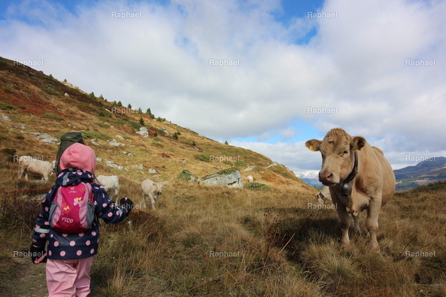 IMG_3527 | Raphael - Realisiert mit Pictrs.com