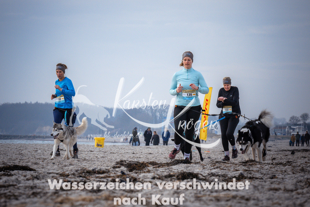 1038_ZZ95743 | kk-dogfotos