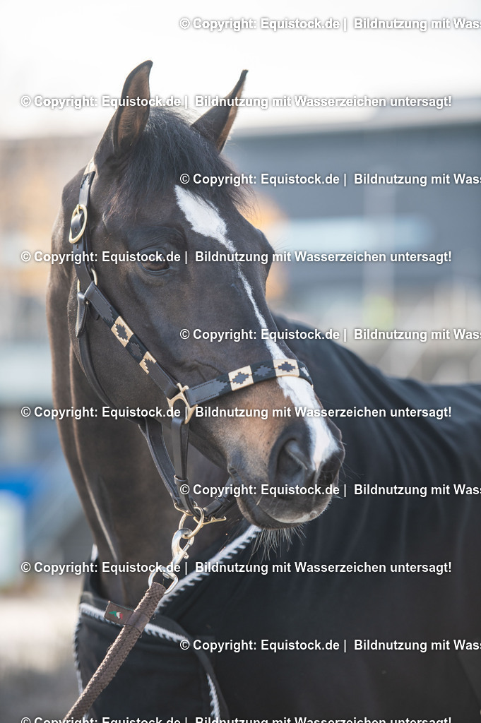 20251113_Raphael-Netz_TOMSPIC_0006 | Foto: Thomas Hartig