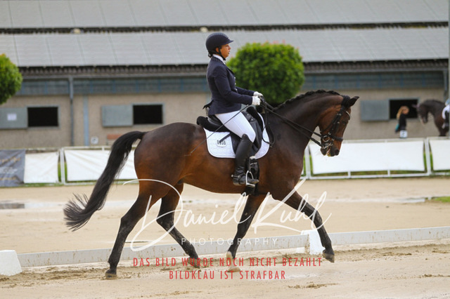 DKP40010 | Turniersportfotografie; Pferdefotografie; Dressurfotografie