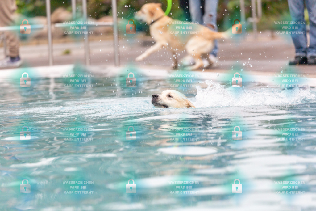 _HP_7159_1000o | HetPix, HetPix Fotodesign, Fotografie, Fotodesign, Webshop, Sportfotografie, Portraitfotografie, Onlineshop, Sportfotografie, Polch, Motorsportfotografie, Eventfotografie