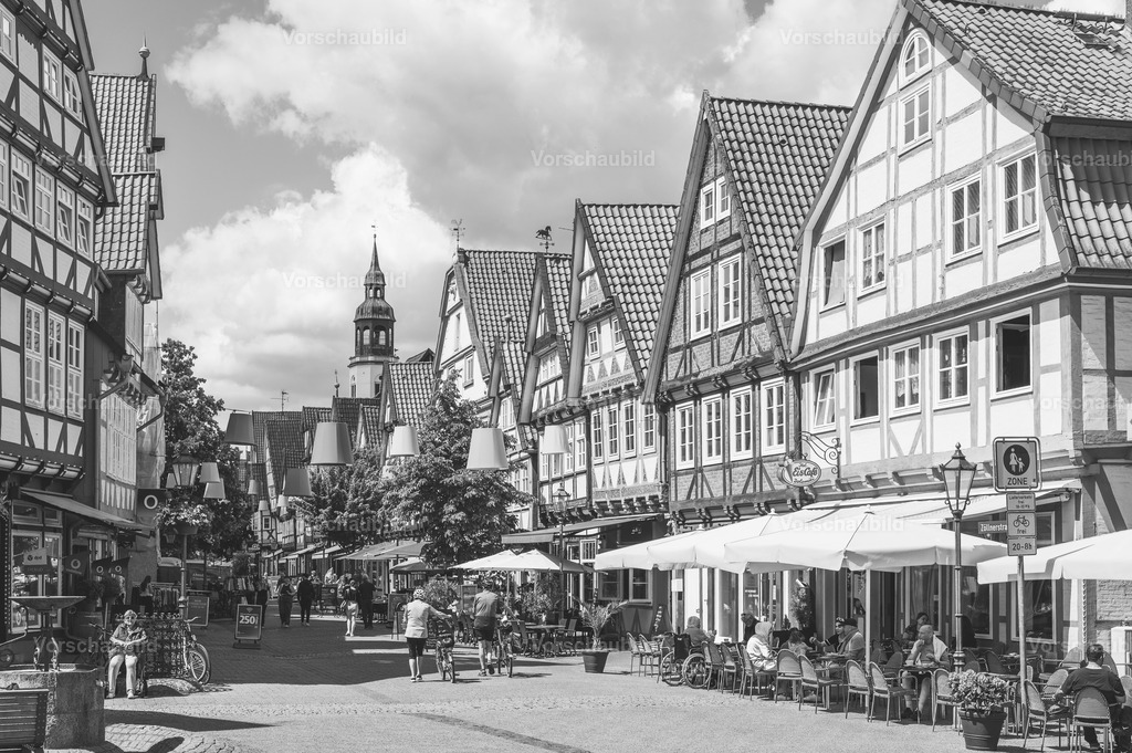 Fotoatelier Christian Hofmeister | Stadtlandschaften, sowie Makro-, Landschafts-, Natur- und Schwarzweißfotos aus der Region Celle &amp; Umgebung