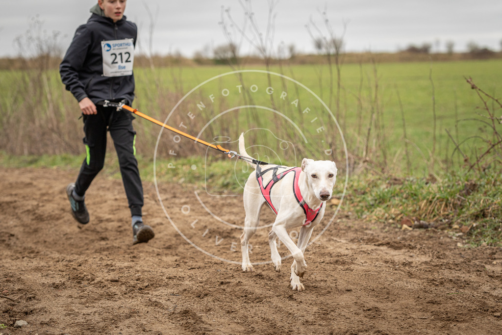 DV3A2680 | Hundefotografie, Tierfotograf, Pfotenfotografie, Fotoshooting Hund, Hunde Portrait, Hundesport, Hundeportraits, Heideshooting, Hunde, Sportfotograf, Hundefotograf, Turnierhundsport, THS,  - Realisiert mit Pictrs.com