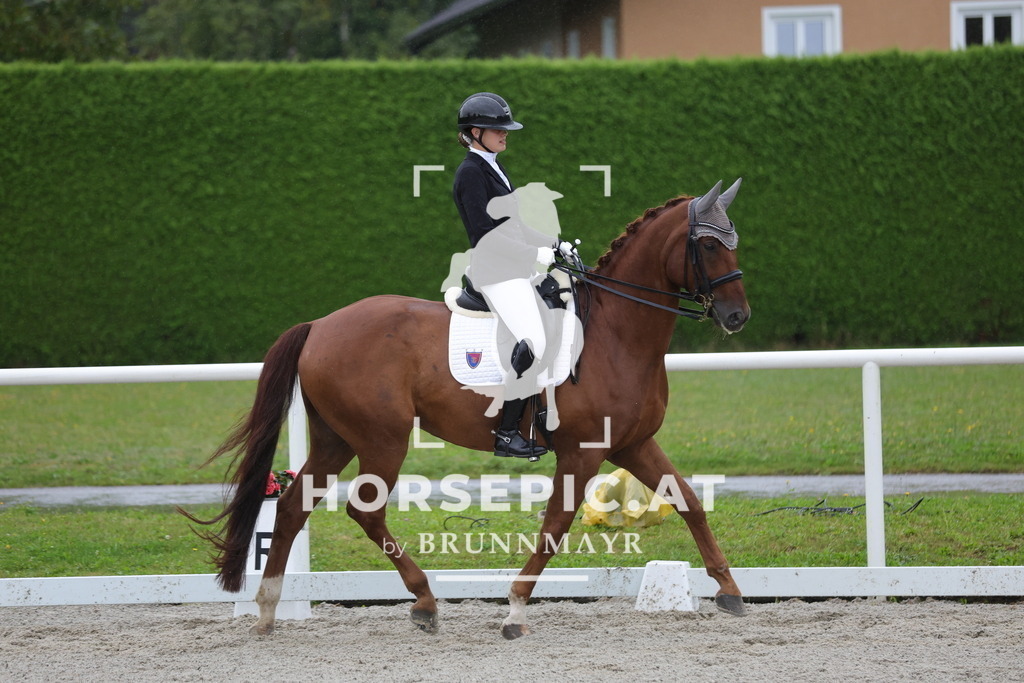 0P6A0721 | Willkommen bei Brunnmayr - Design & Fotografie – Ihrem Spezialisten für Reitturniere und Pferdeveranstaltungen in Oberösterreich, Salzburg und Bayern! Seit über 17 Jahren sind wir leidenschaftlich dabei.