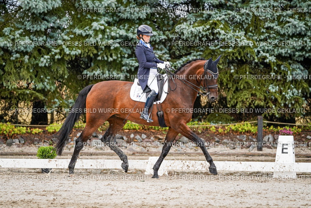 DSC00056 | Pferdegrafie