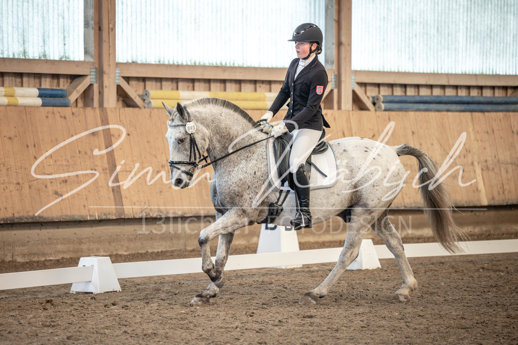 20251011-_3LI6967 | Tierfotografie Pferde, Hunde, Katzen, Haustiere.
Turnierfotografie Reitturniere, Reiten, Springreiten, Dressur in Hanau, dem Main-Kinzig-Kreis und dem Rhein-Main- Gebiet um Frankfurt