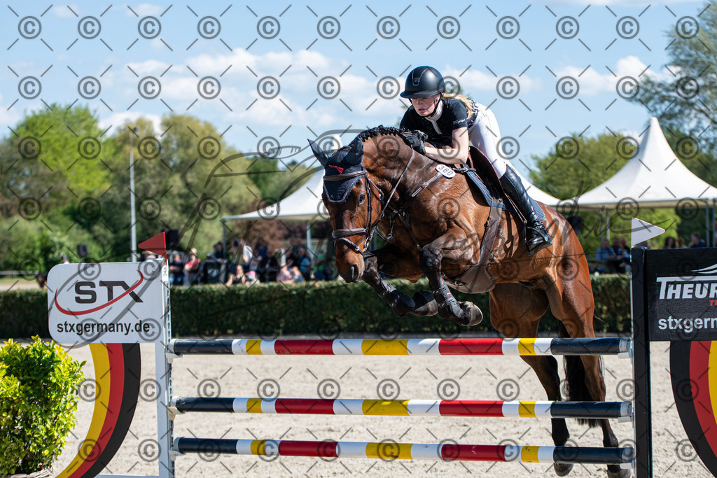 KPT_1293 | andre_photographic