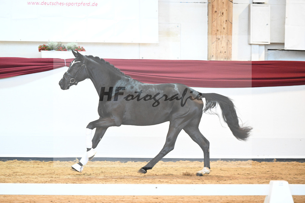 Kat-Nr. 30 v. Fantastic_Wilbers_66220417 | hf-fotografie - Realisiert mit Pictrs.com