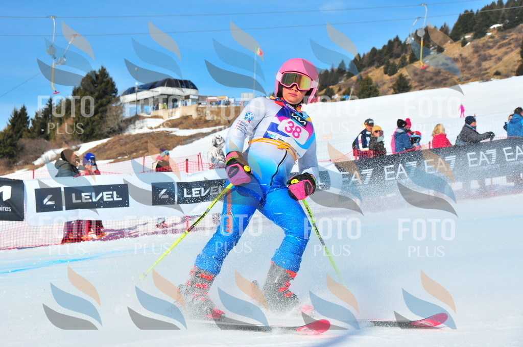 DSC_4002 | holidayphoto