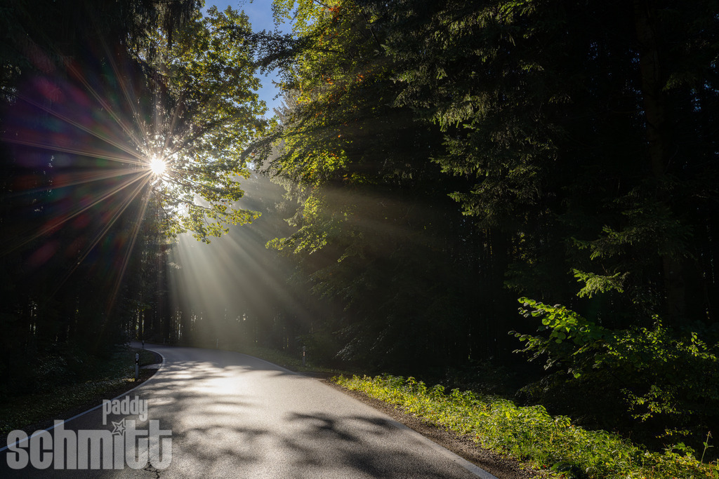 PS-Wege-2026-36 | Entdecke die größte Bildgalerie der Region mit Fotografien aus dem Allgäu, der Bodenseeregion, Oberschwaben, dem Donautal und der Schwäbischen Alb. Landschaften, Luftaufnahmen und Reisefotografie als Wandbild und Fotokunst. - Realisiert mit Pictrs.com