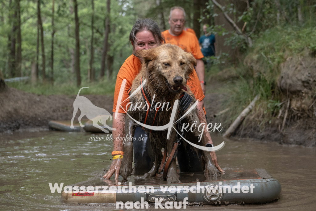 1345_ZZ95713 | kk-dogfotos