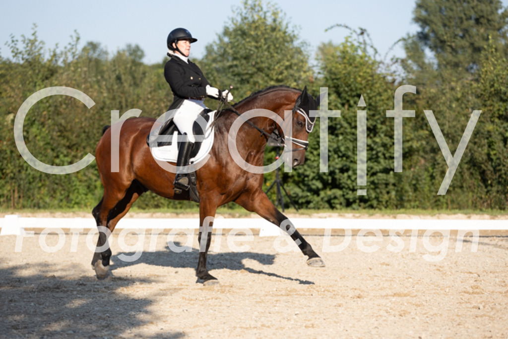 IMG_1246 | Creatify Fotografie