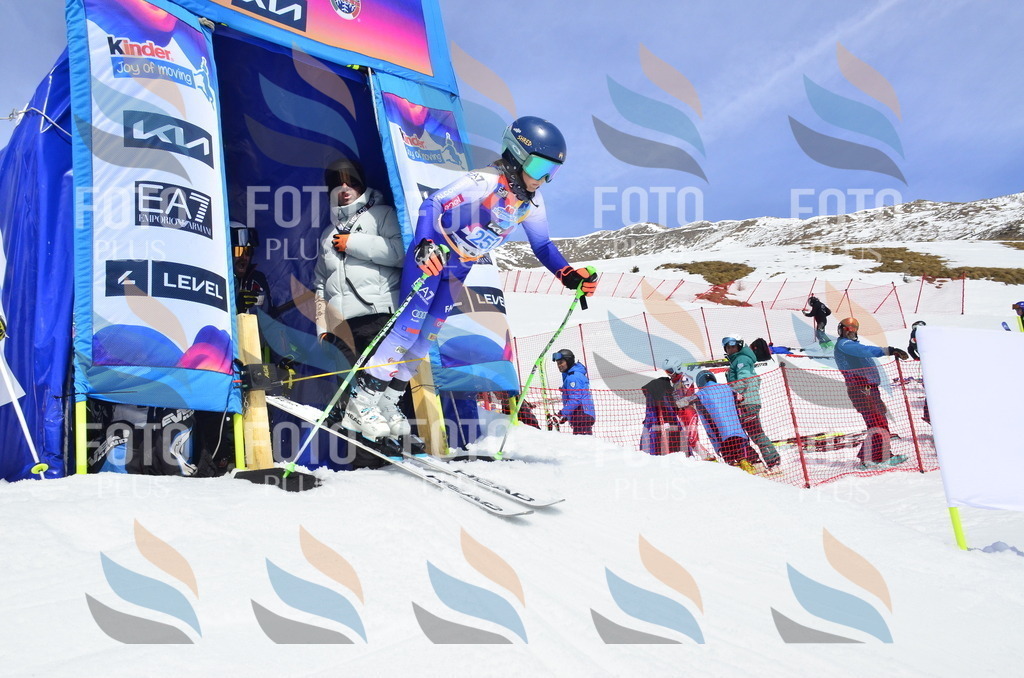 _ELE1899 | holidayphoto