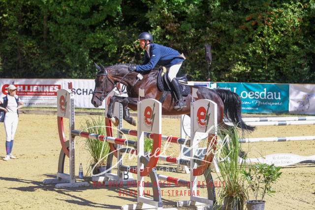DKP43136 | Turniersportfotografie; Pferdefotografie; Dressurfotografie