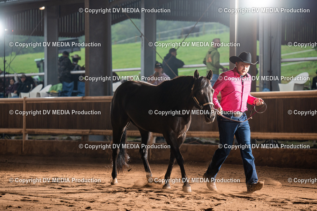 Erbach Tag 2-107 | dv-media-shop - Realisiert mit Pictrs.com