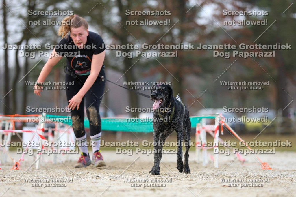Dog Paparazzi - Strongdog North Mrz26-3705 | Dog Paparazzi Jeanette Grottendiek Fotografie & Videografie - Realisiert mit Pictrs.com