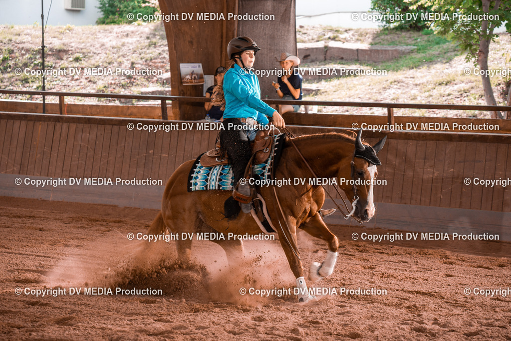 NE201103 | dv-media-shop - Realisiert mit Pictrs.com